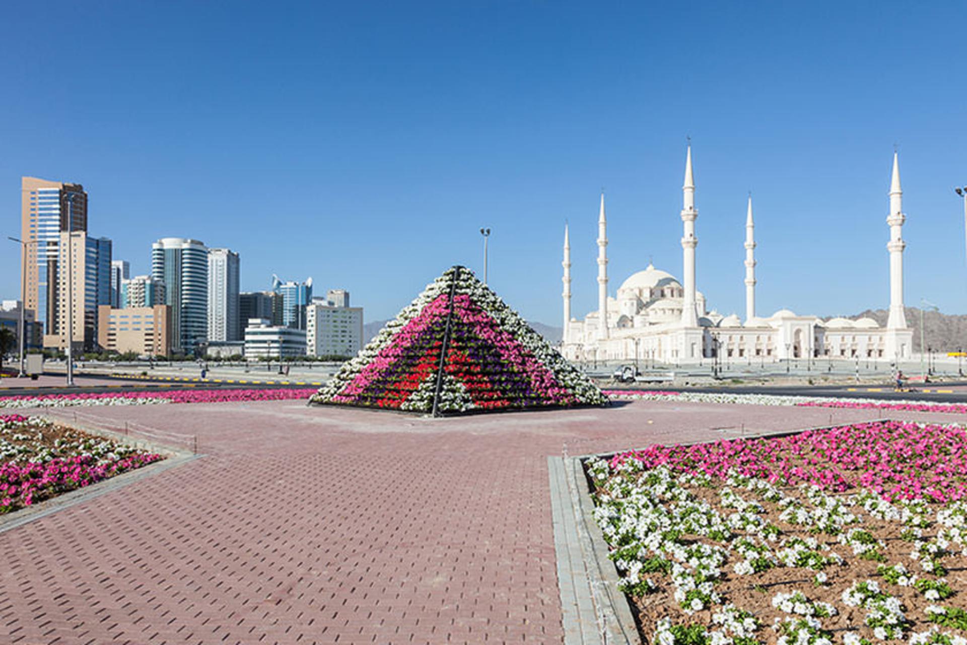 فجیره
