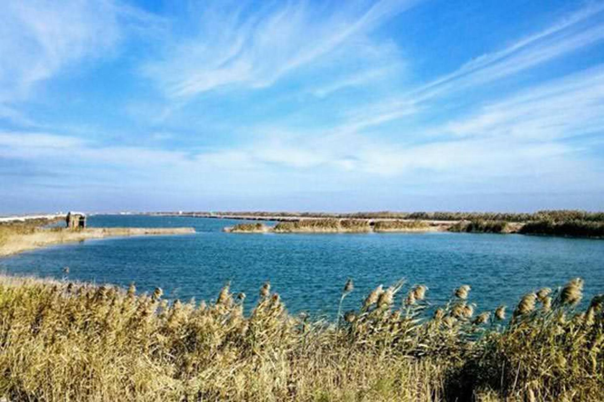 تالاب خرمشهر
