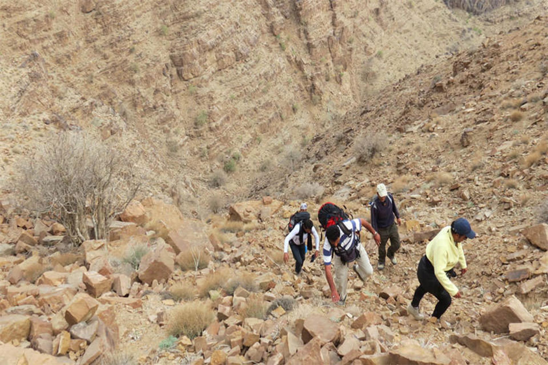 کوه شاه 