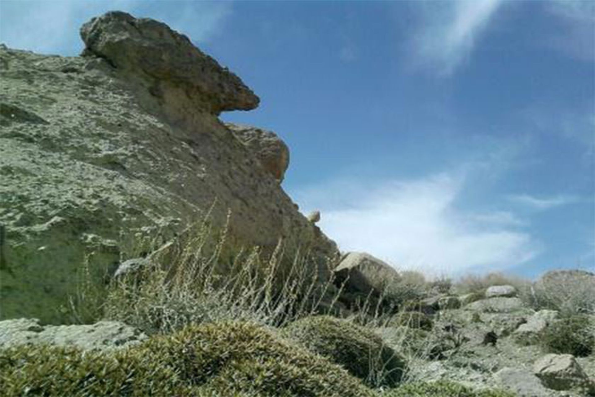 رشته‌کوه مومن‌آباد