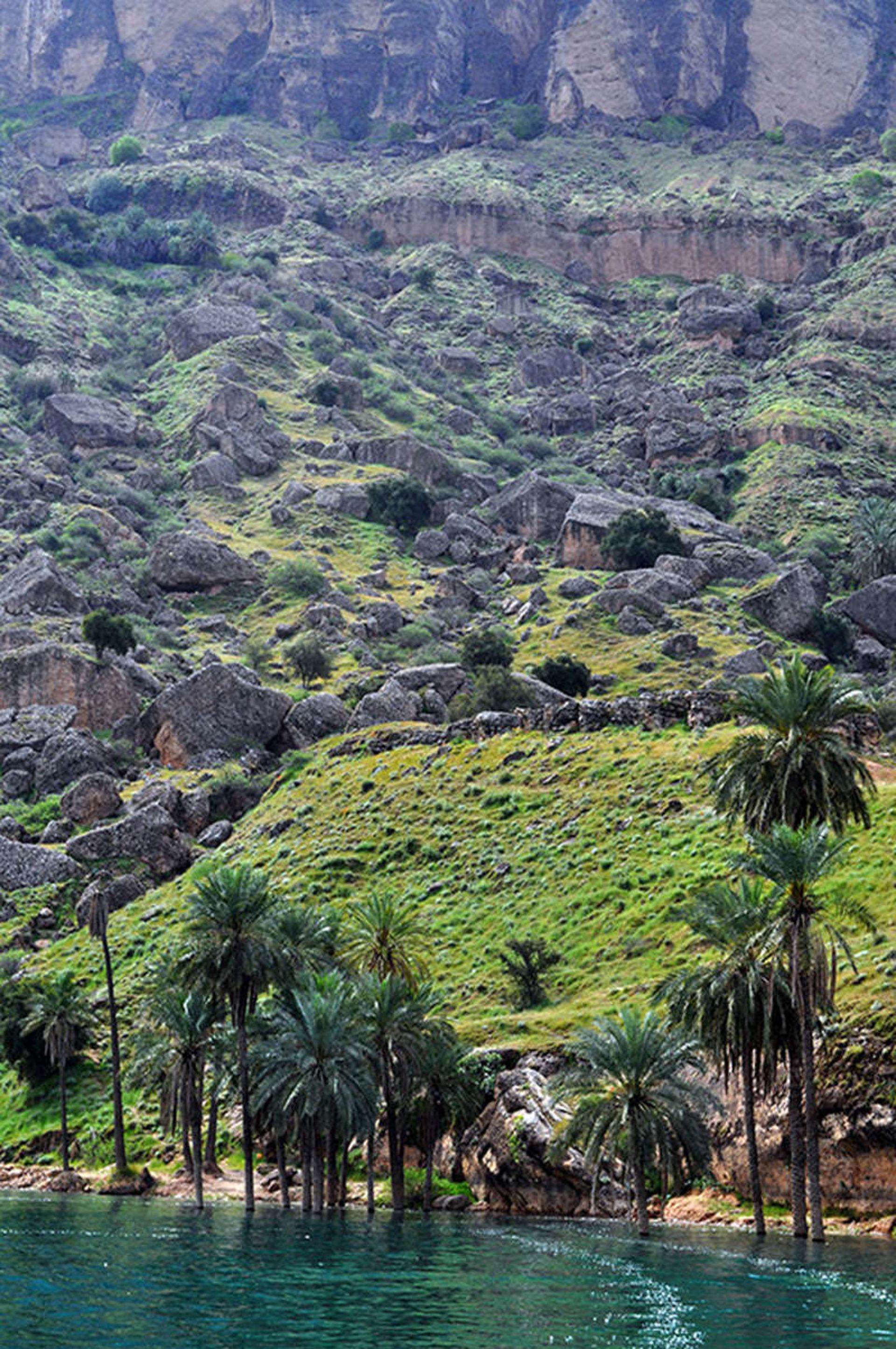 طبیعت روستای پامنار