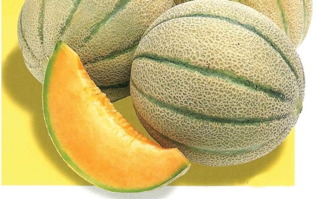 طالبی ساوه