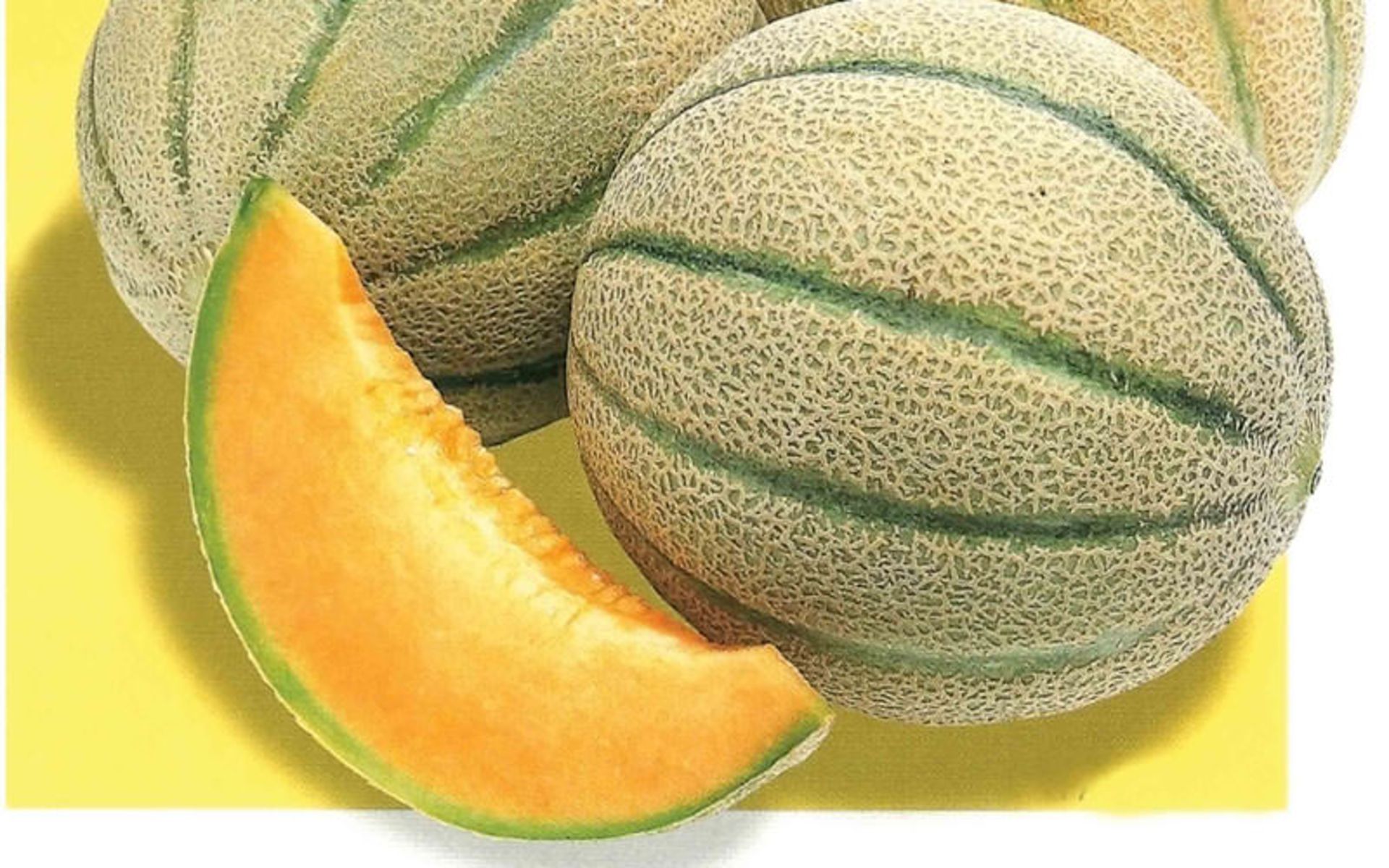 طالبی ساوه