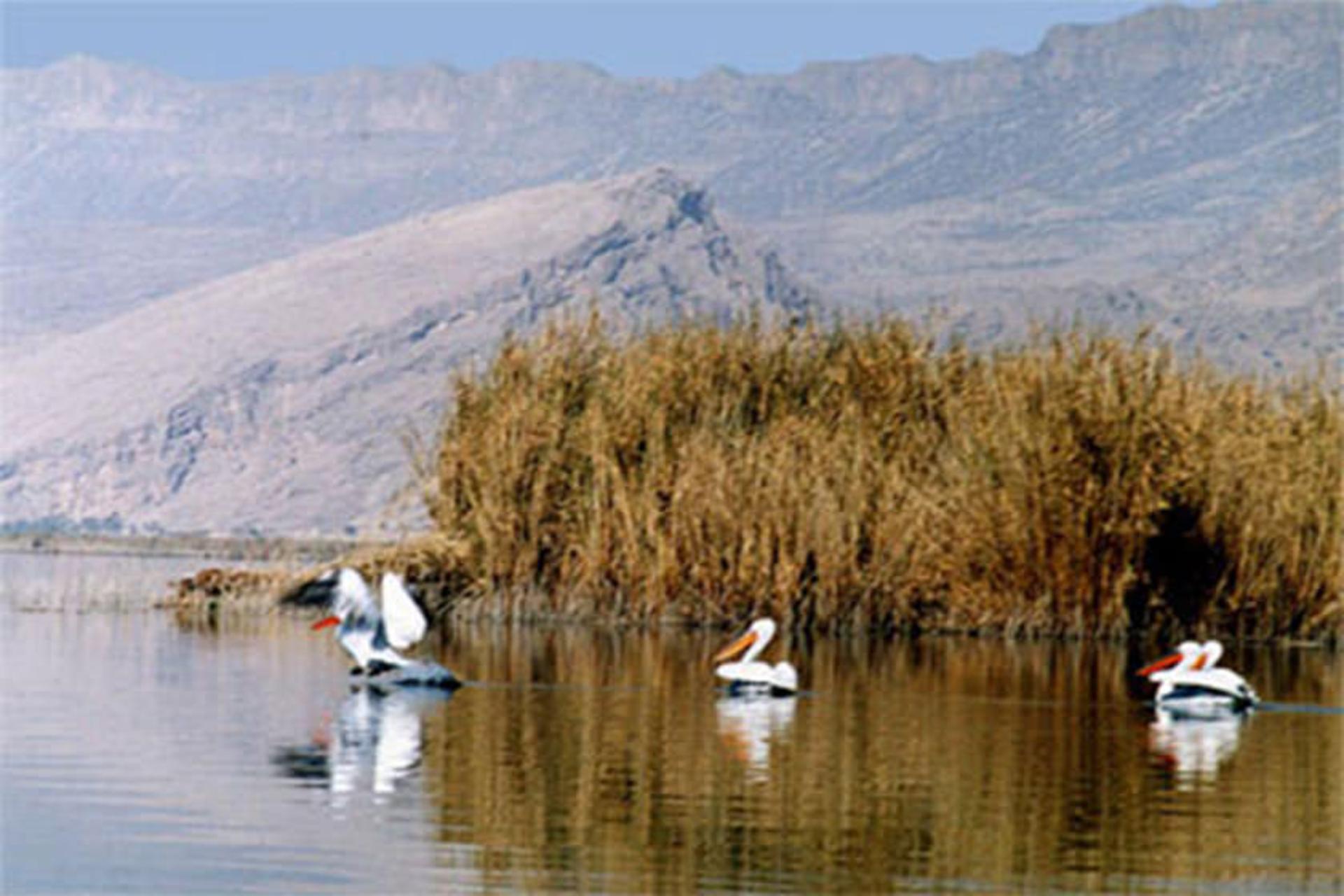 تالاب چکر
