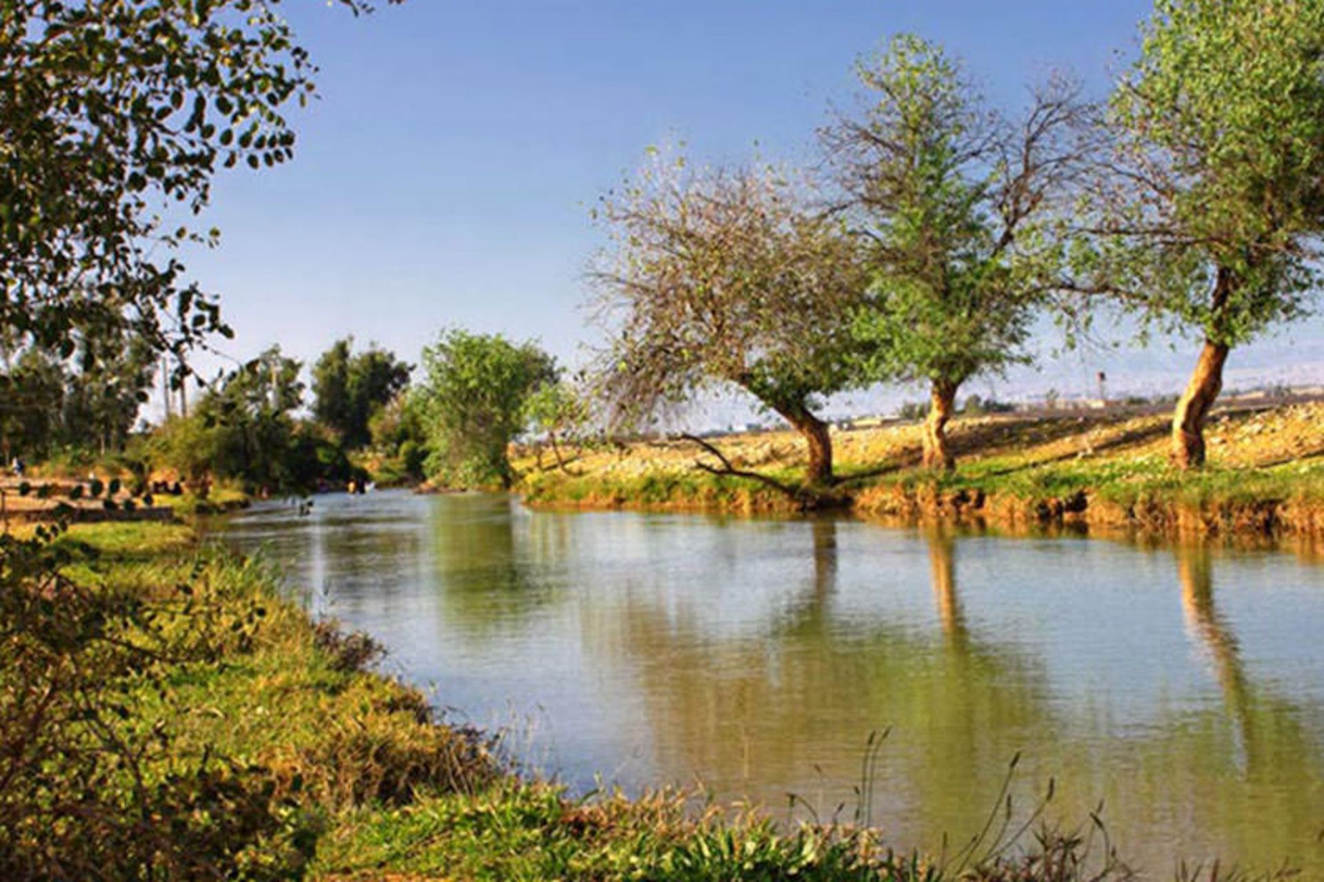 پارک جنگلی میلاد