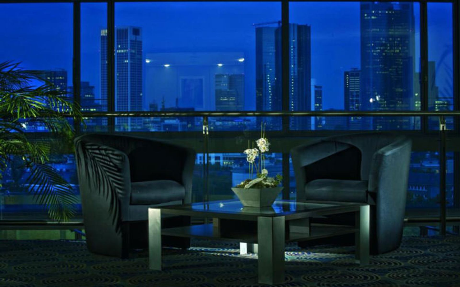 هتل ماریتیم فرانکفورت (Maritim Hotel Frankfurt)