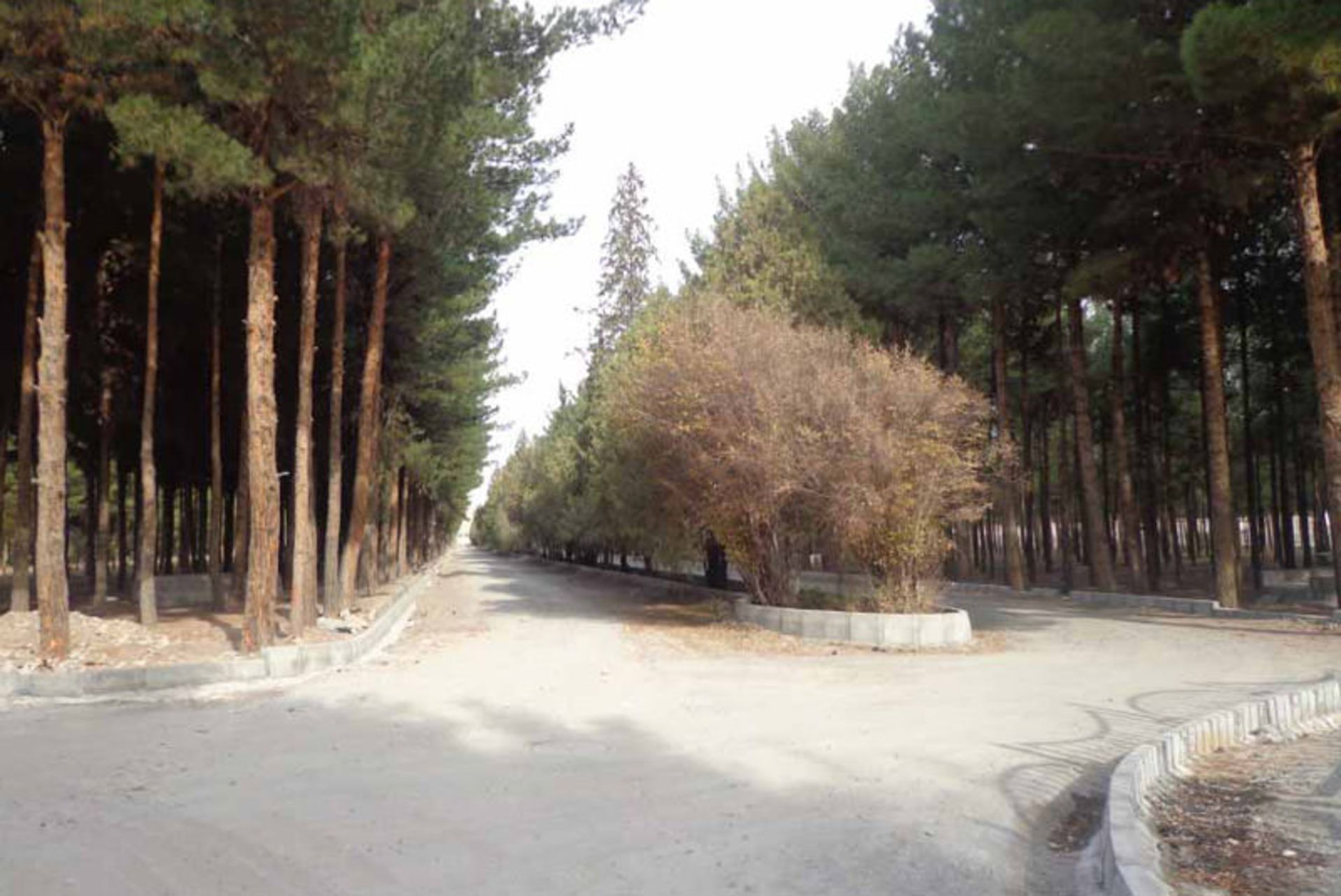 پارک جنگلی بیرجند