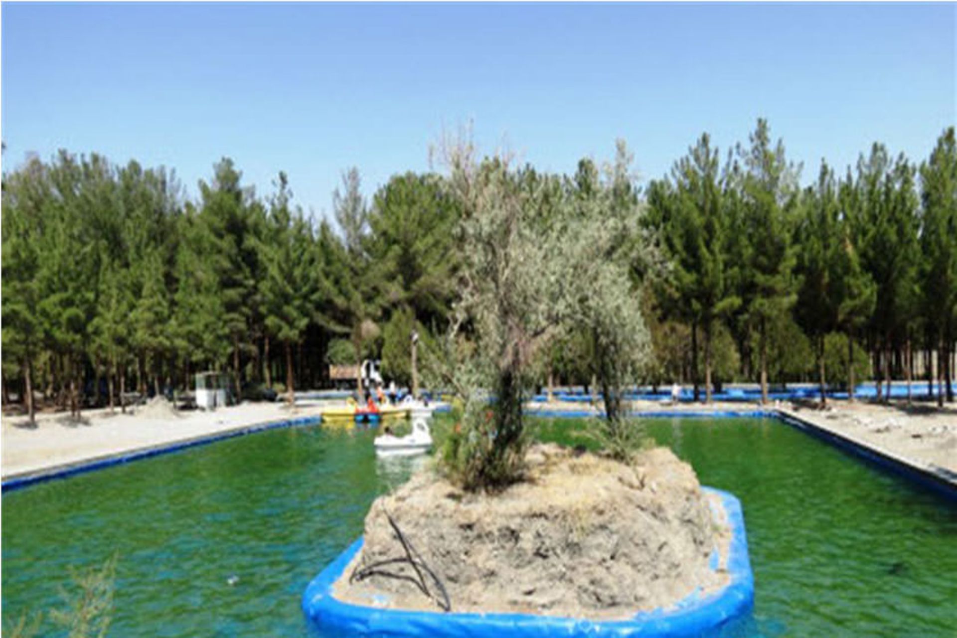 پارک جنگلی بیرجند