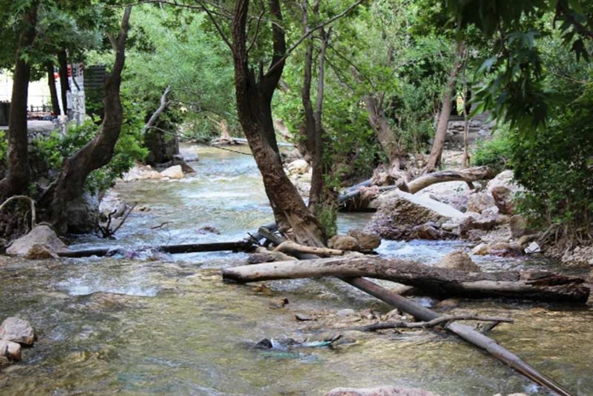 تنگ مهریان