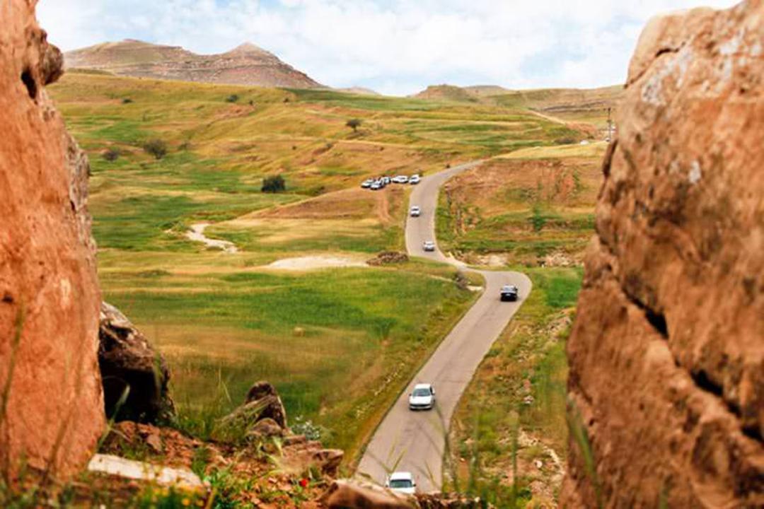 دزفول شهیون