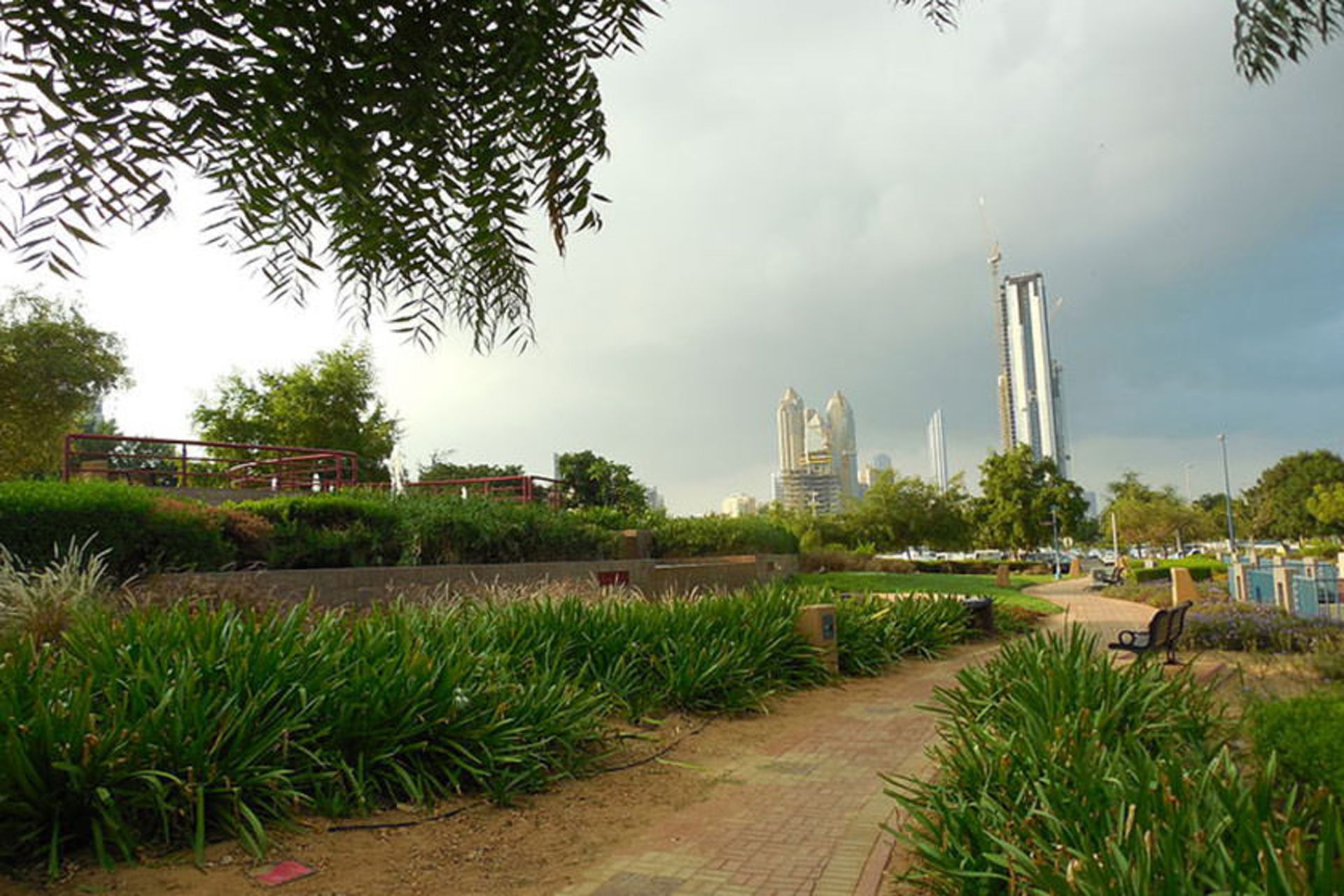 ابوظبی