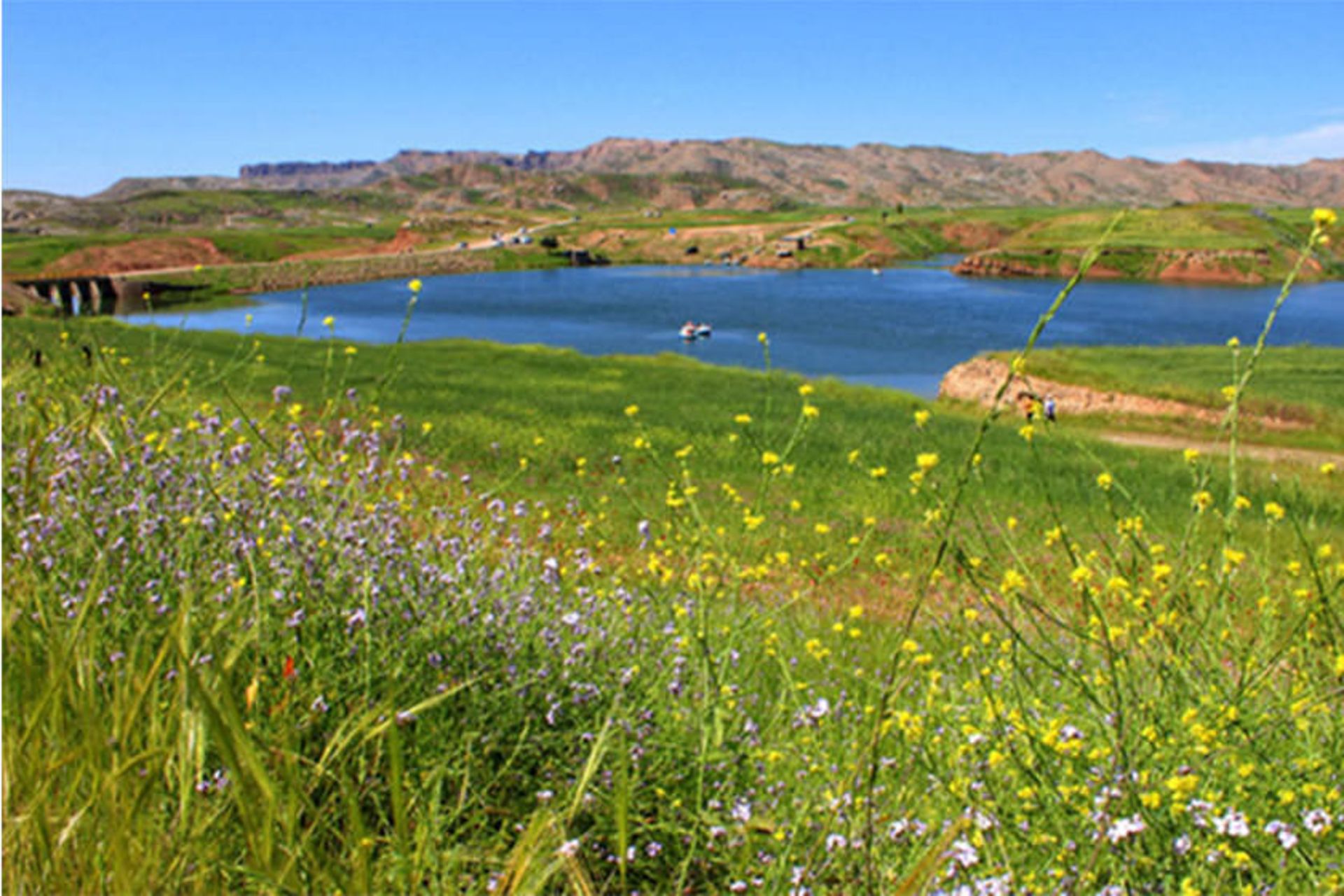 دریاچه میانه
