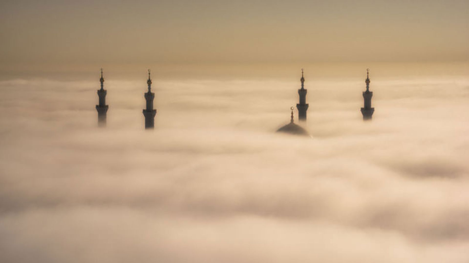 عکس روز نشنال جئوگرافی