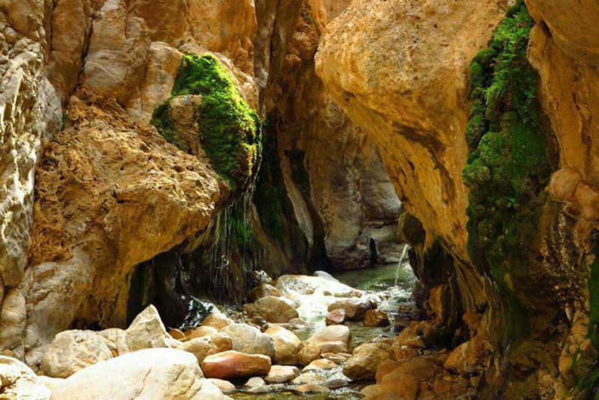 چشمه مرتضی علی