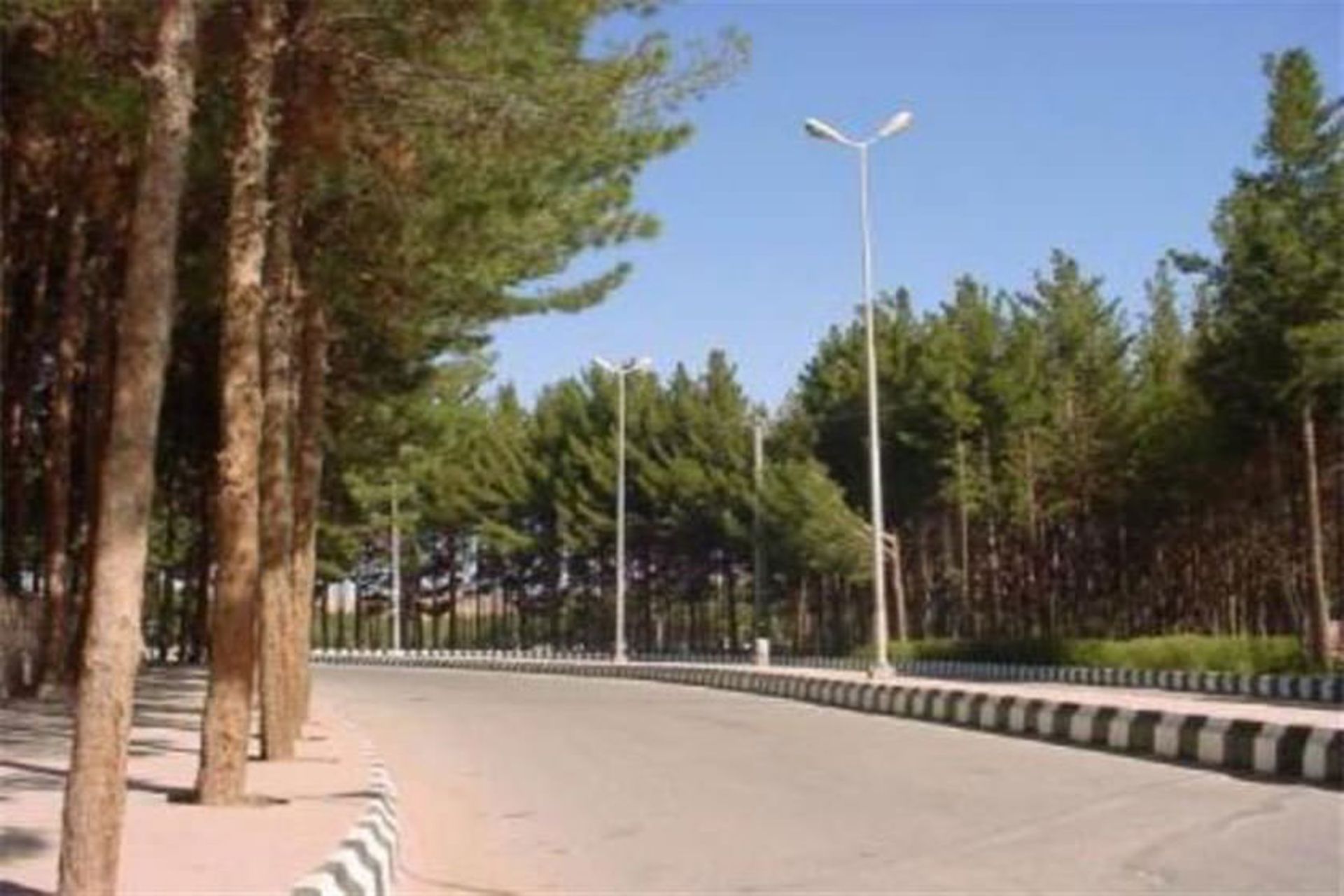 پارک جنگلی بیرجند