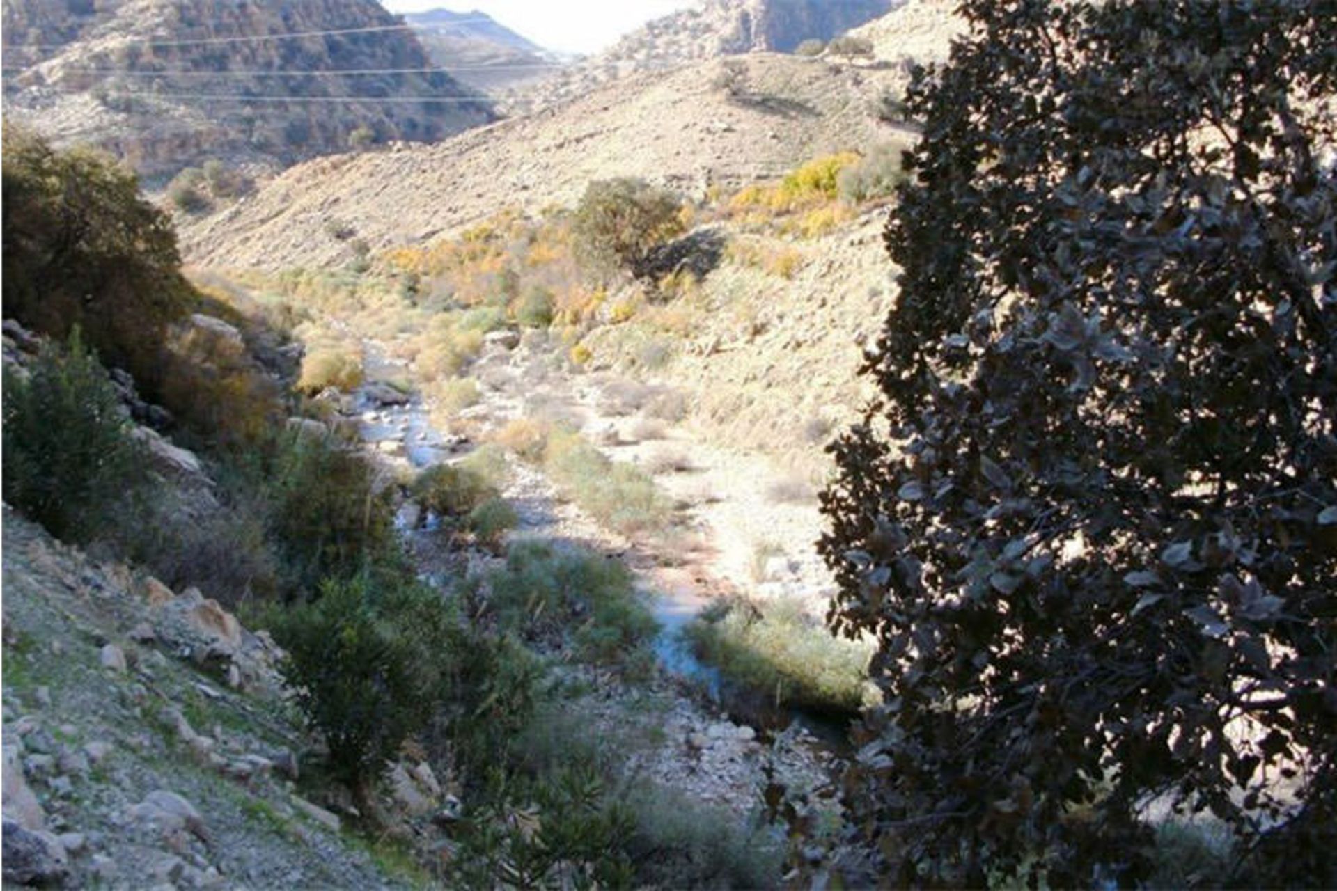منطقه گردشگری منگره
