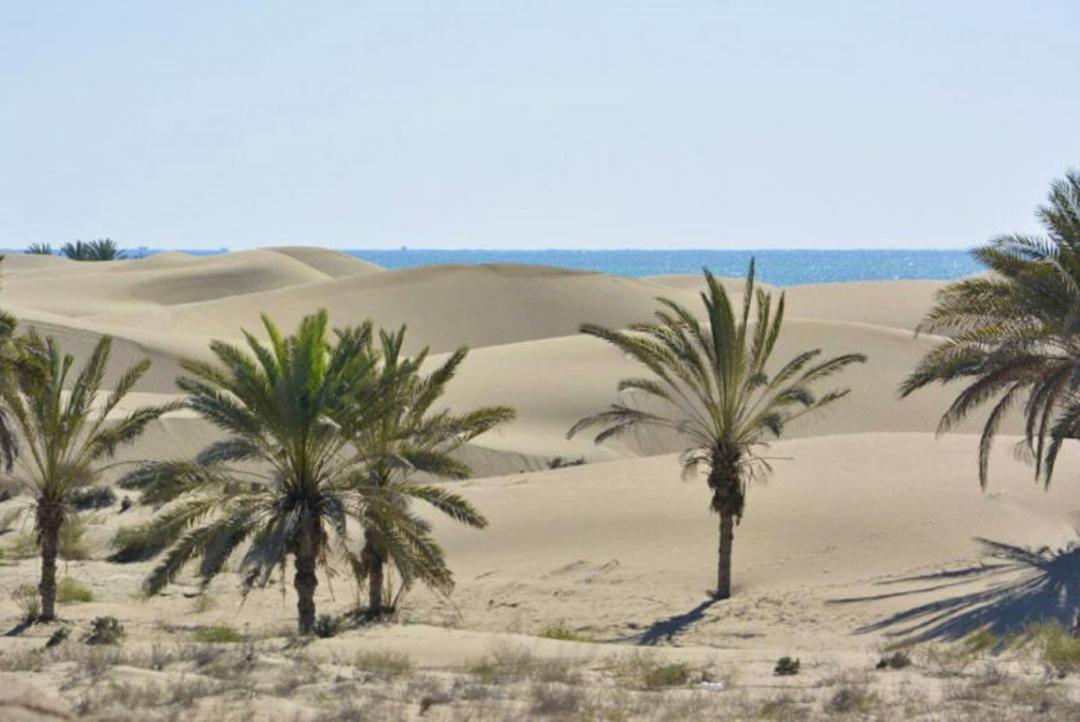 روستای درک