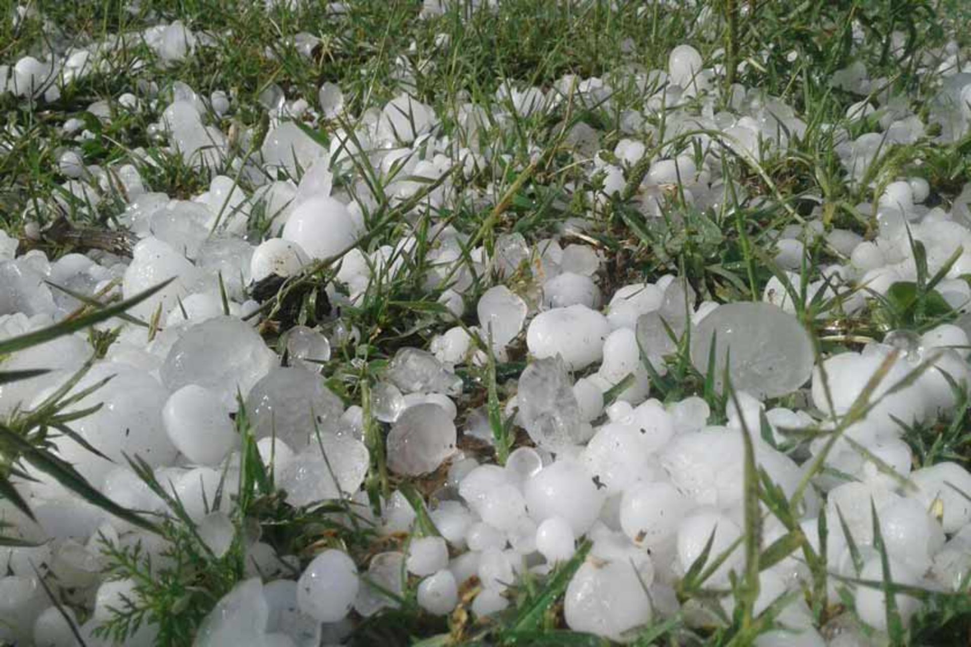 خسارت تگرگ در گناباد