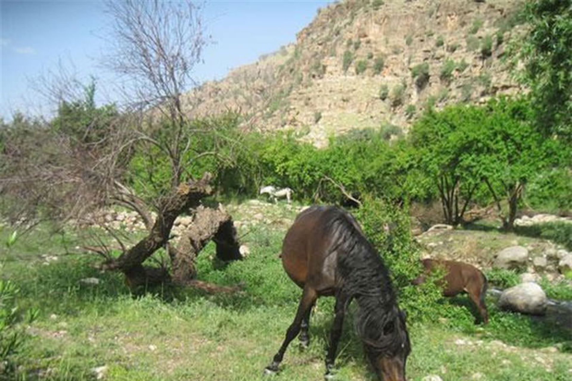 منطقه گردشگری منگره