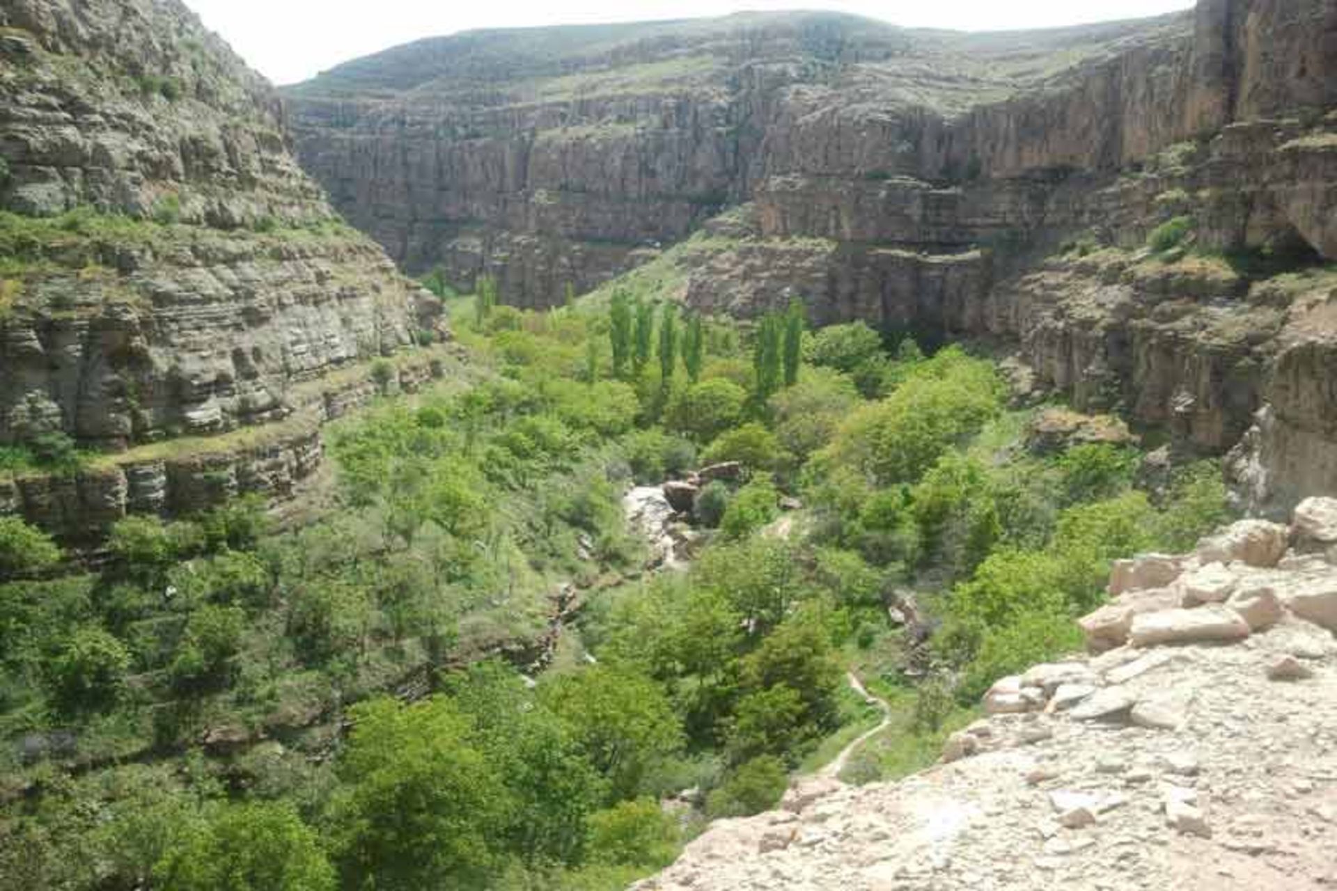 شیروان