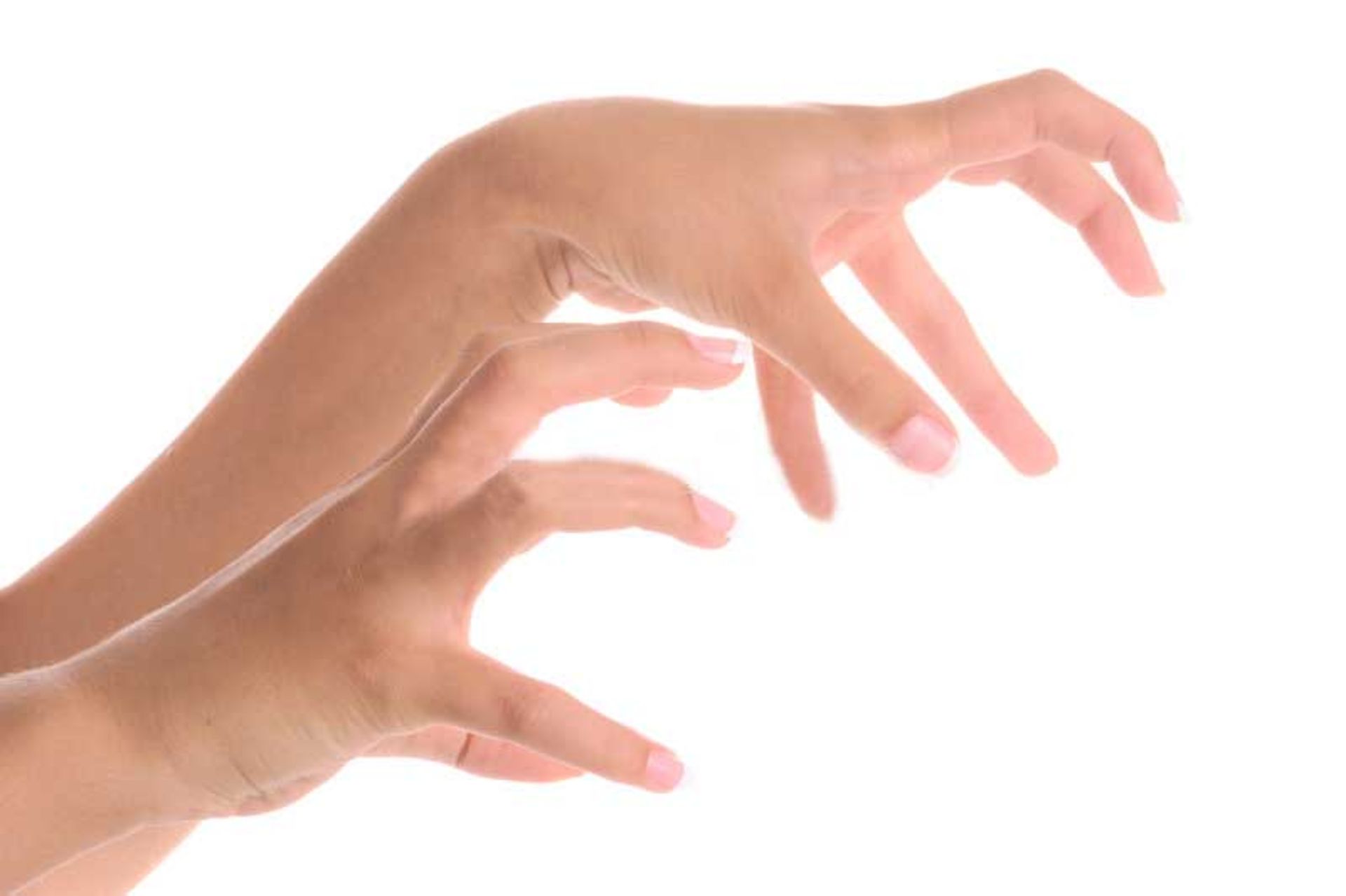 زبان بدن