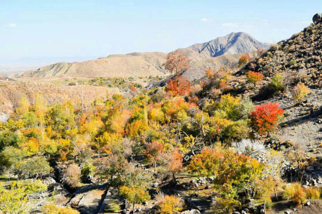روستای دهبکری
