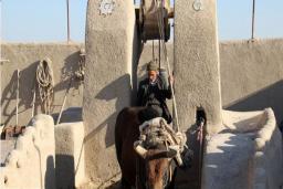 گاوچاه ورزنه