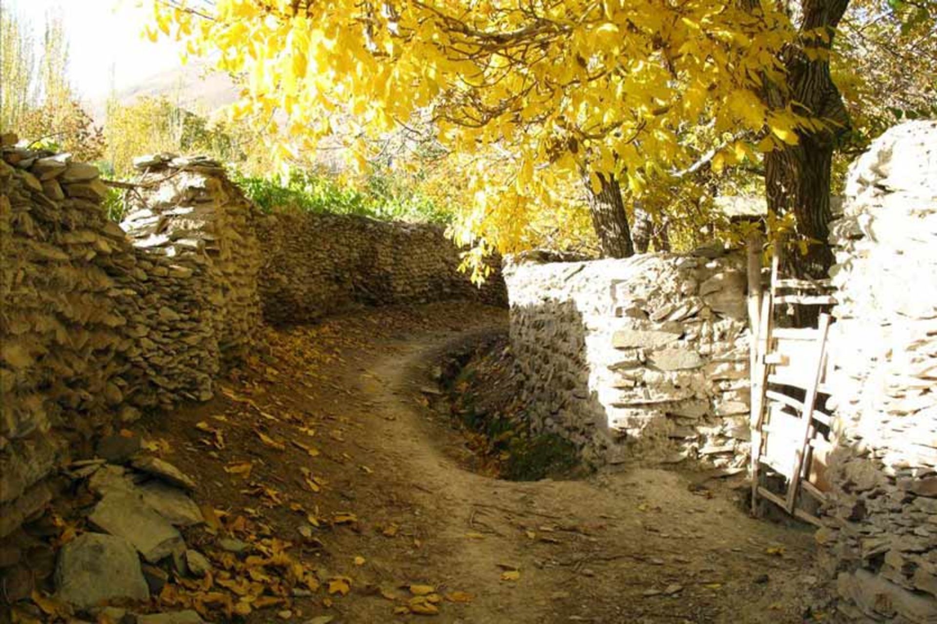 روستای انجدان