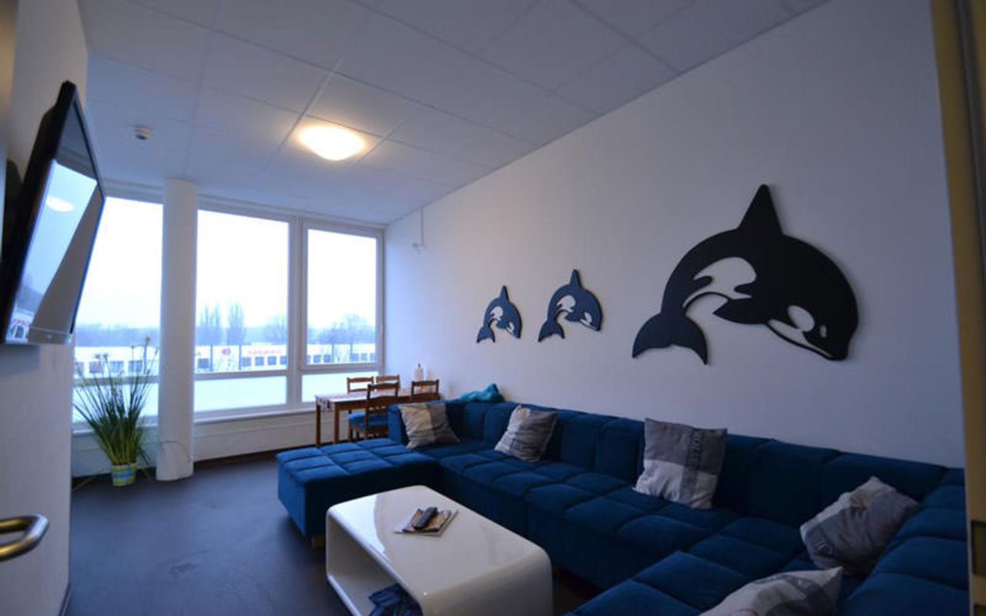 آرِنا هاستل هامبورگ (Arena Hostel Hamburg)