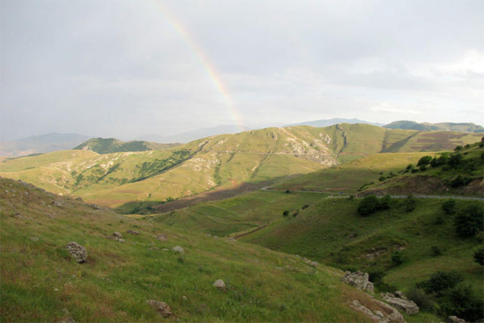 جنگل طبیعی تنباکولو