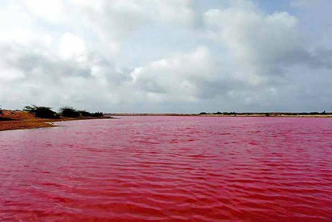 تالاب لیپار