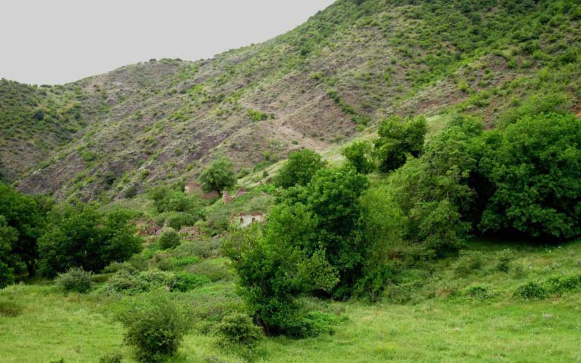 منطقه حفاظت شده جنگلی خیبوس