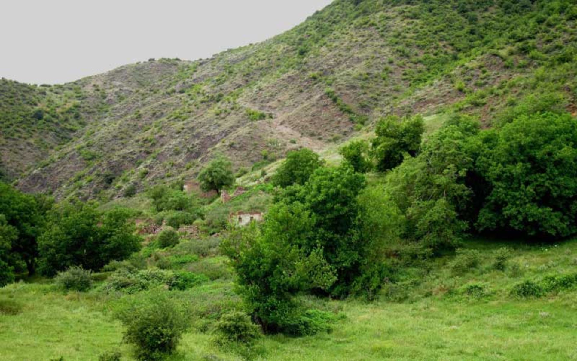 منطقه حفاظت شده جنگلی خیبوس