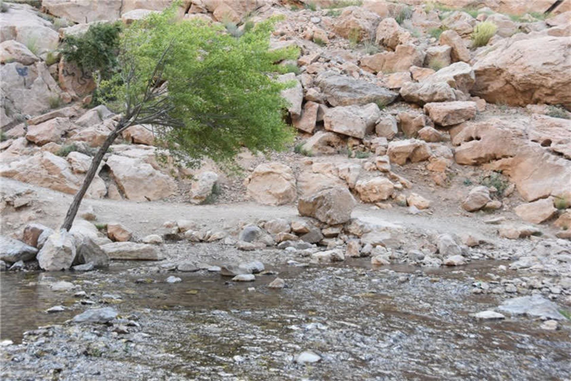 زرچشمه