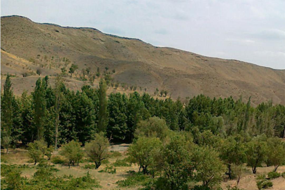 رودخانه دلبر