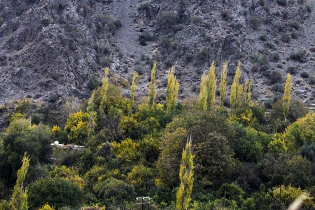 جیرفت
