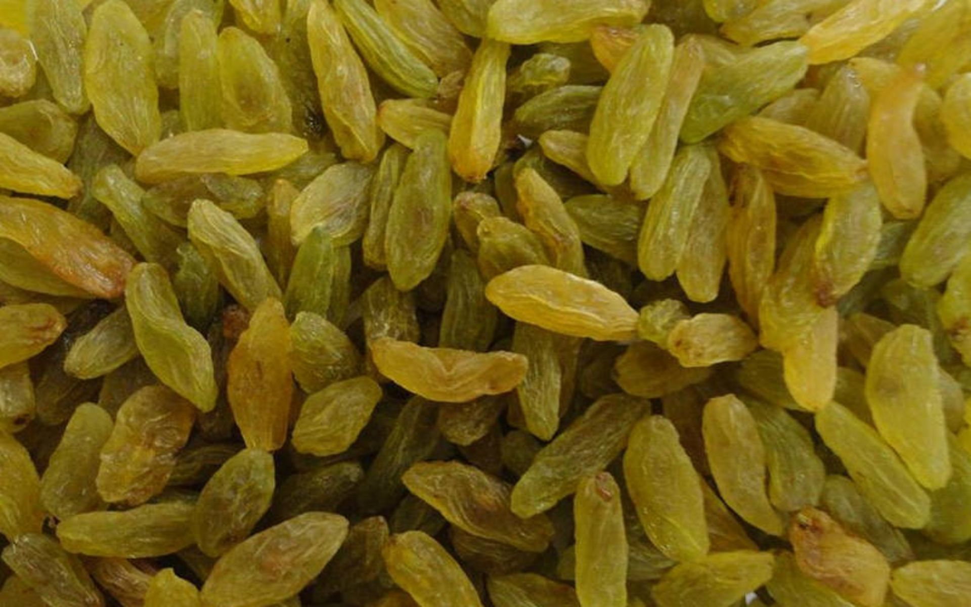 کشمش و سایه‌خشک