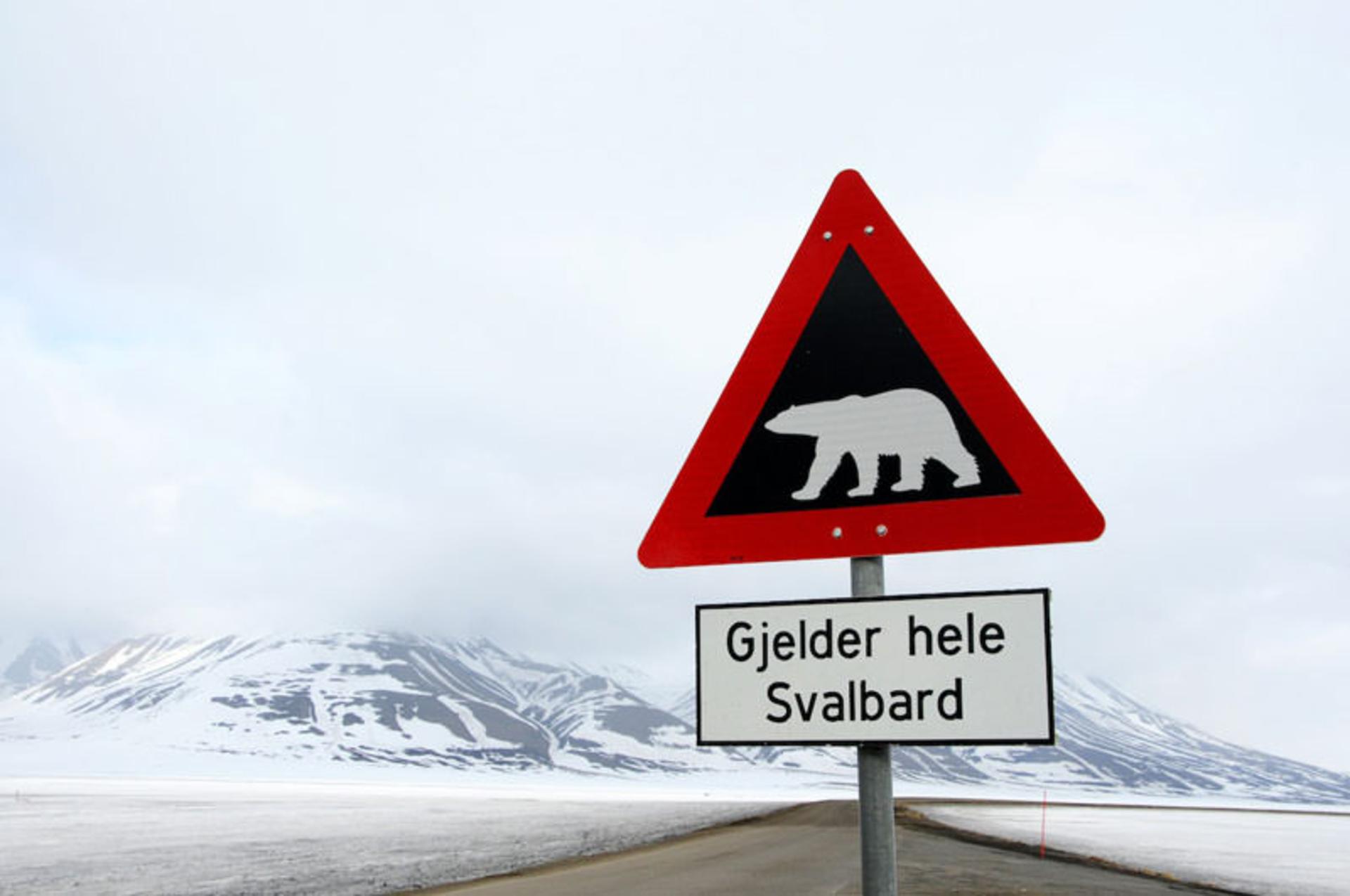 بزرگراه لانگیربین (Longyearbyen)، نروژ