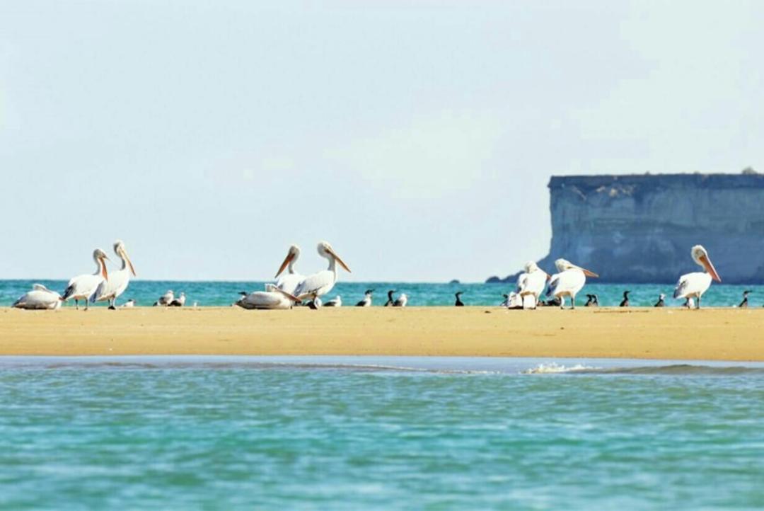 بندر کنارک