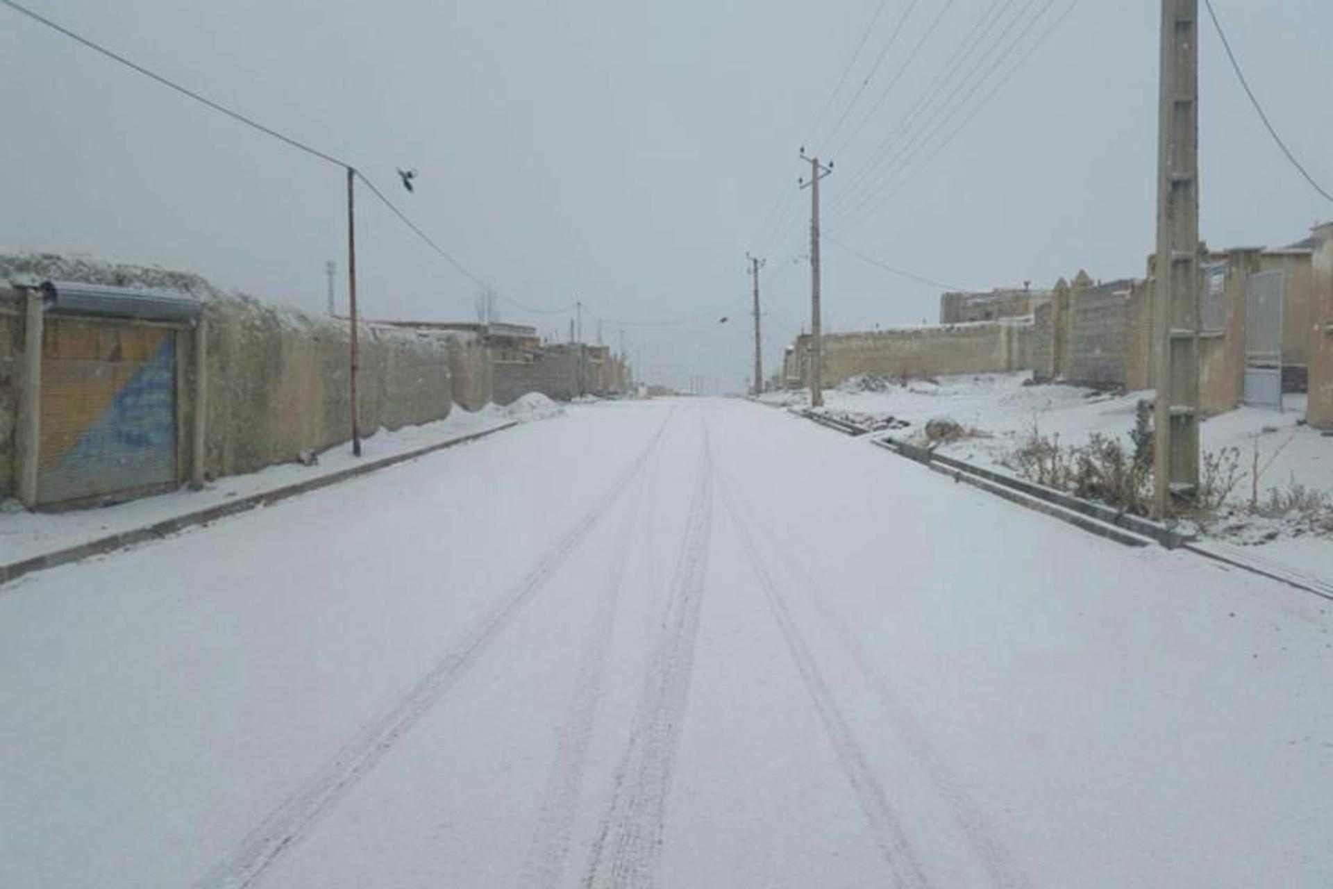 هواشناسی