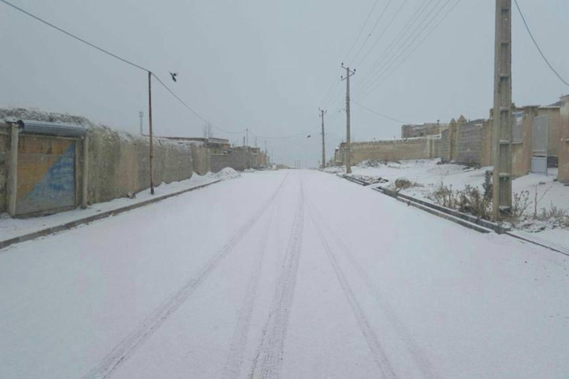 هواشناسی