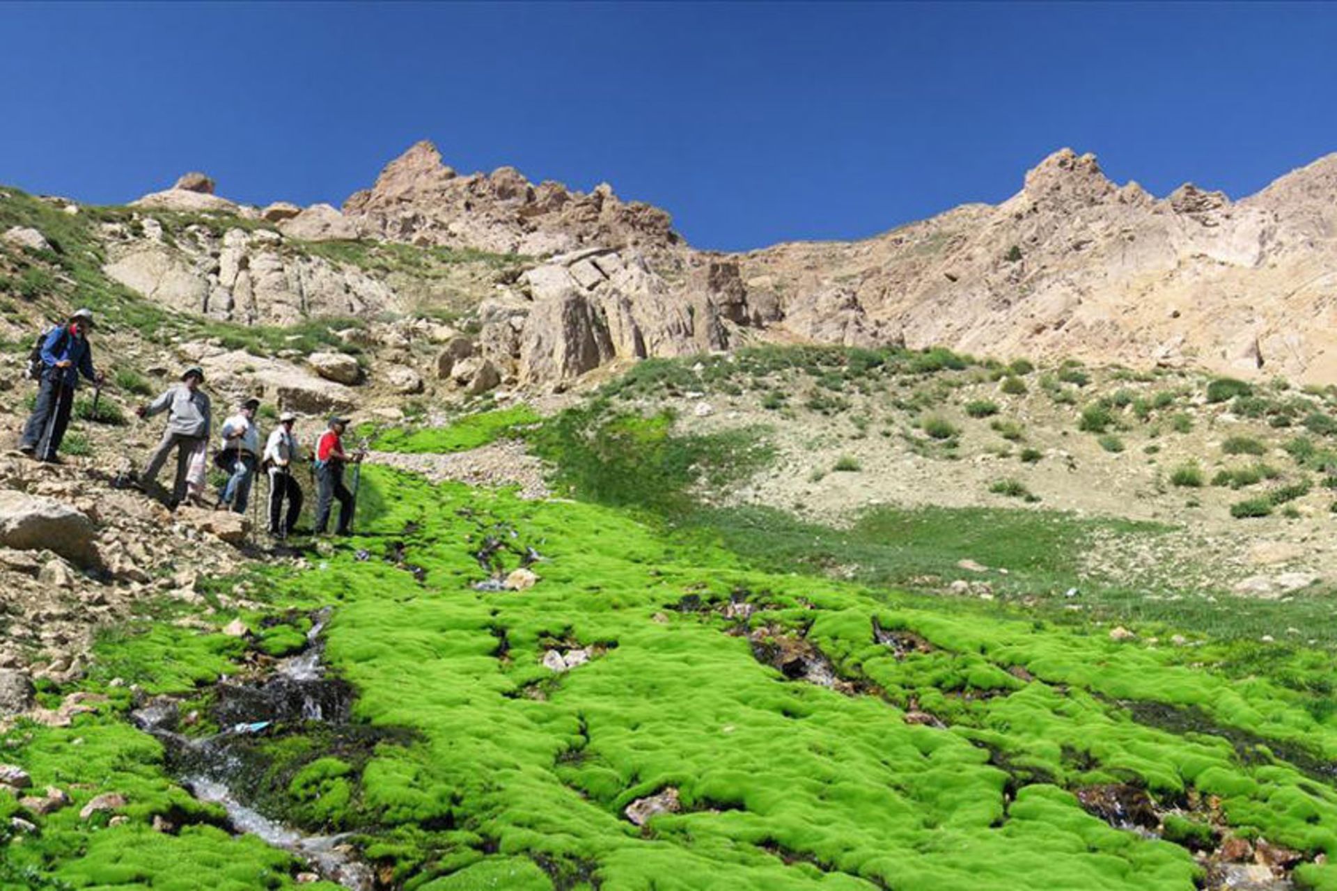 منطقه حفاظت شده تنگ صیاد