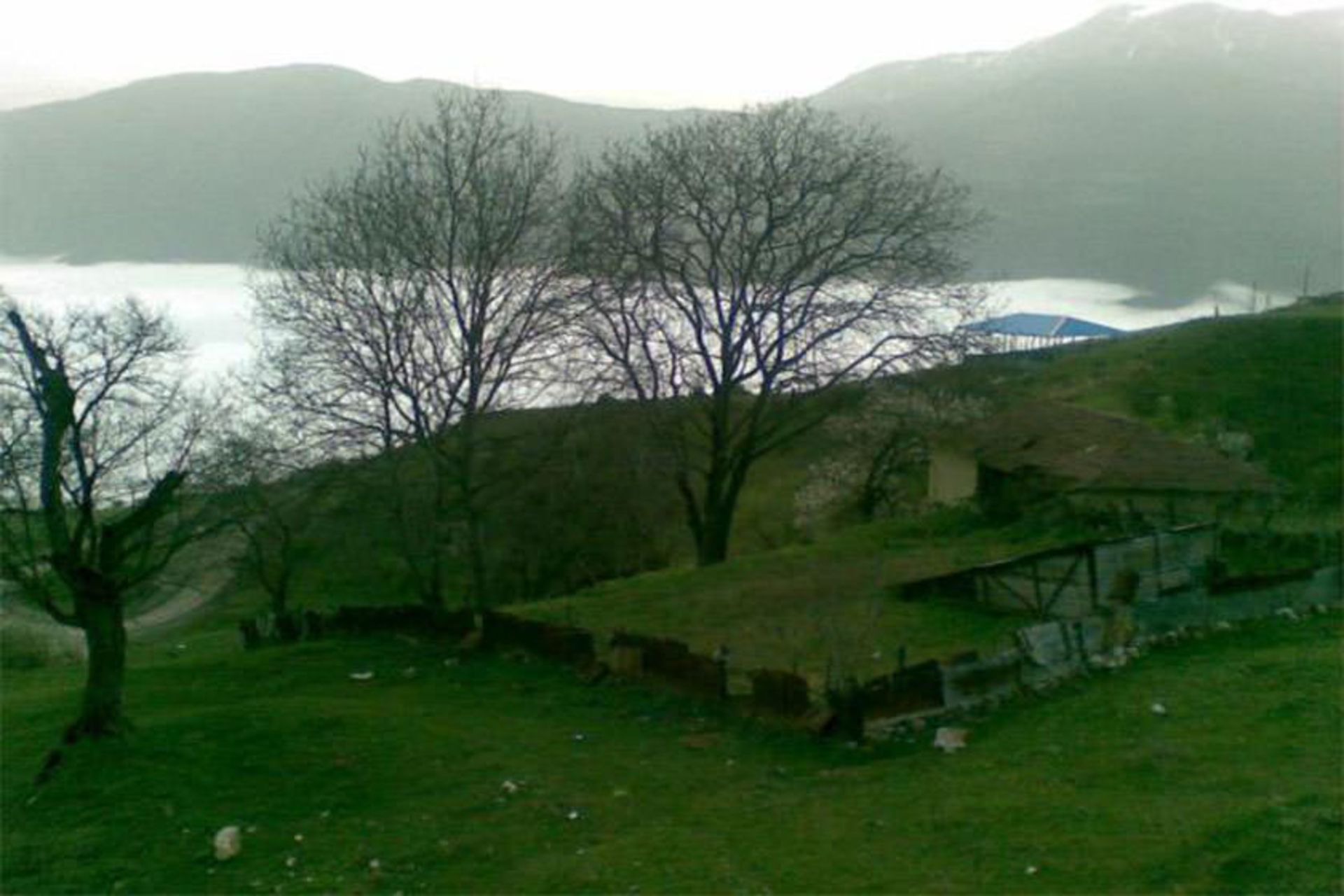 منطقه جنگلی اوریم