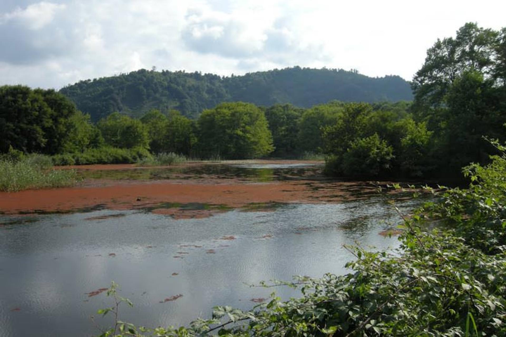 تالاب سوستان