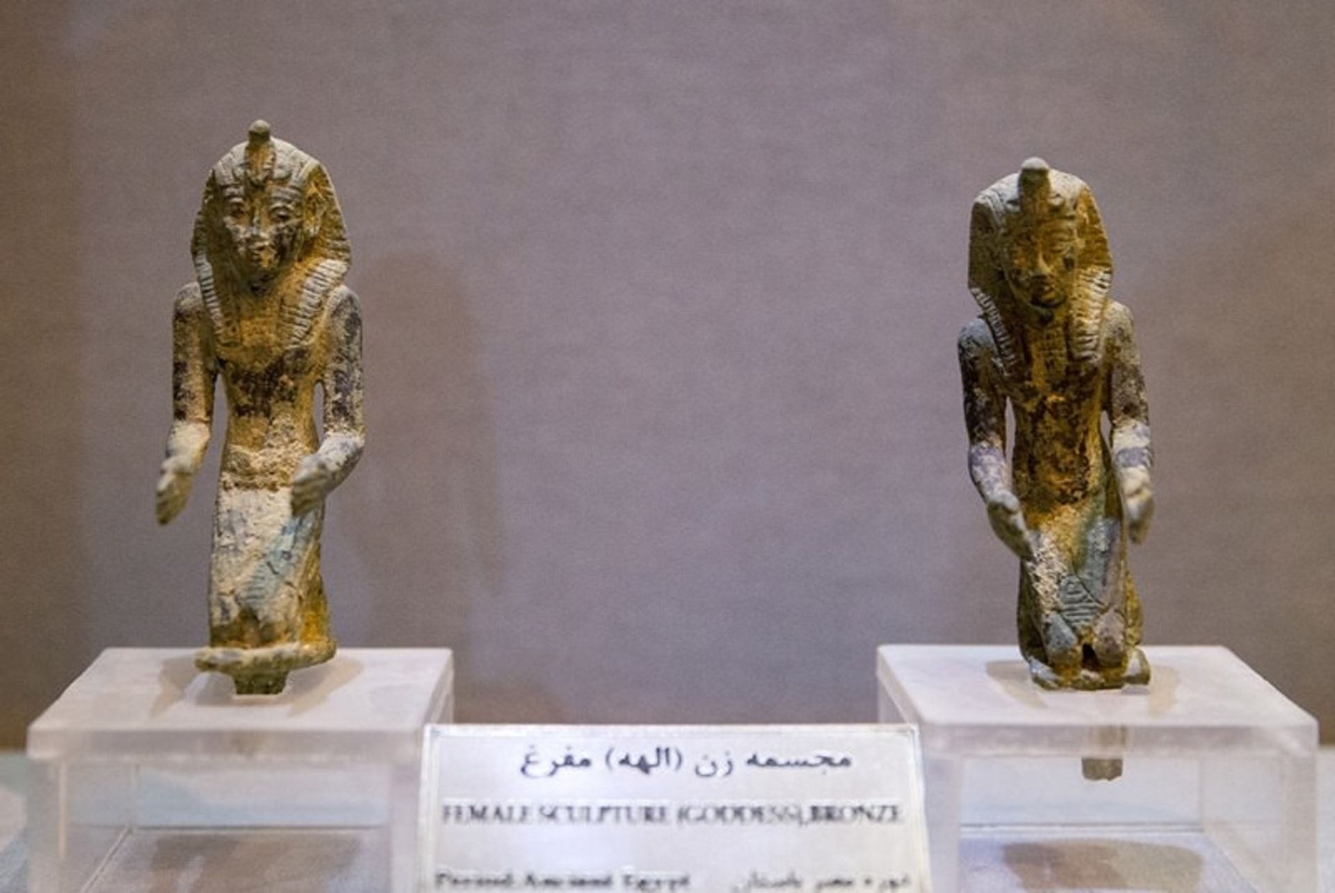 موزه تخت جمشید