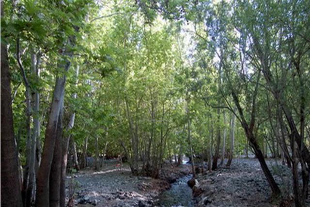 رودخانه دلبر