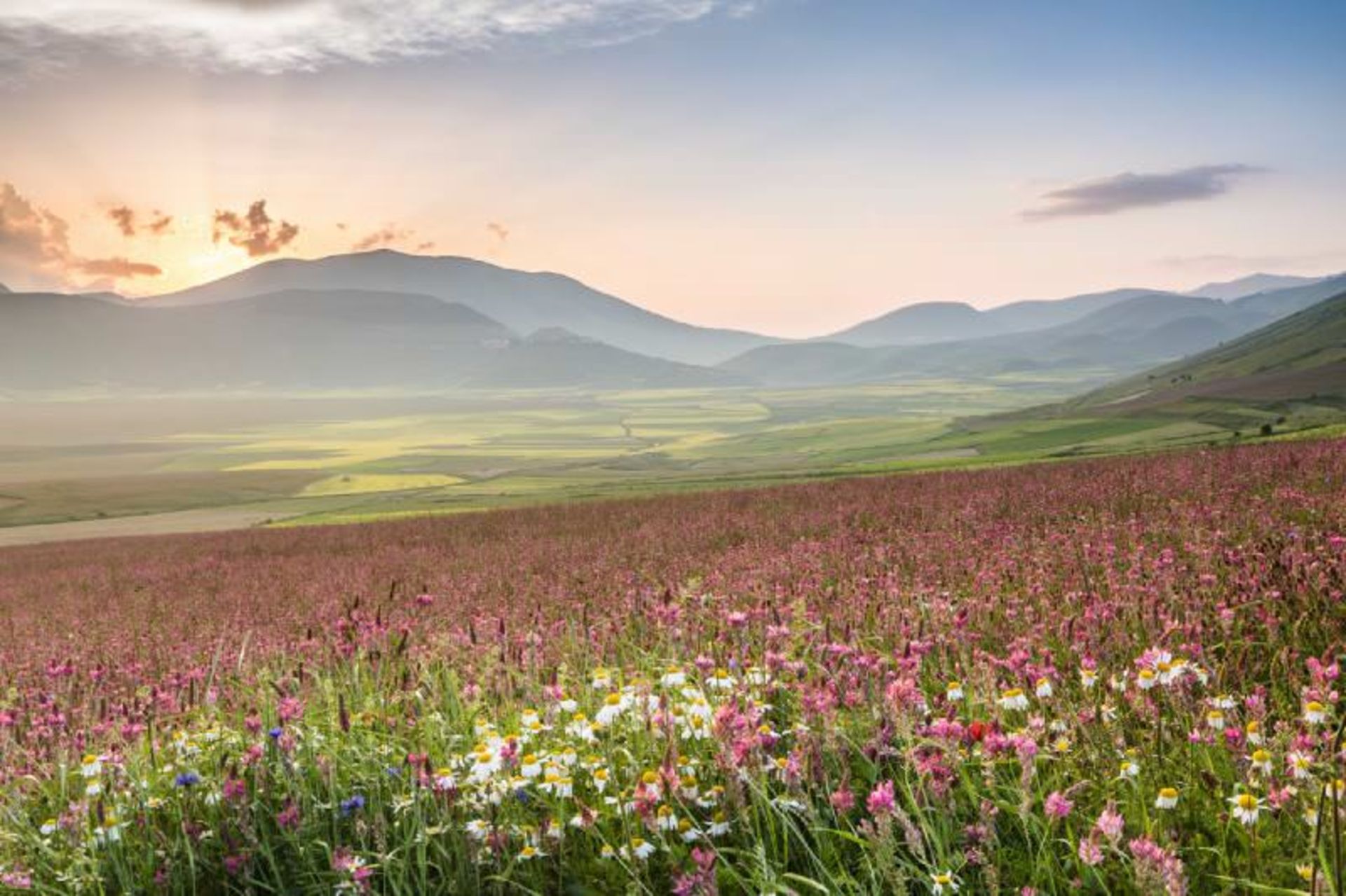 اومبریا 