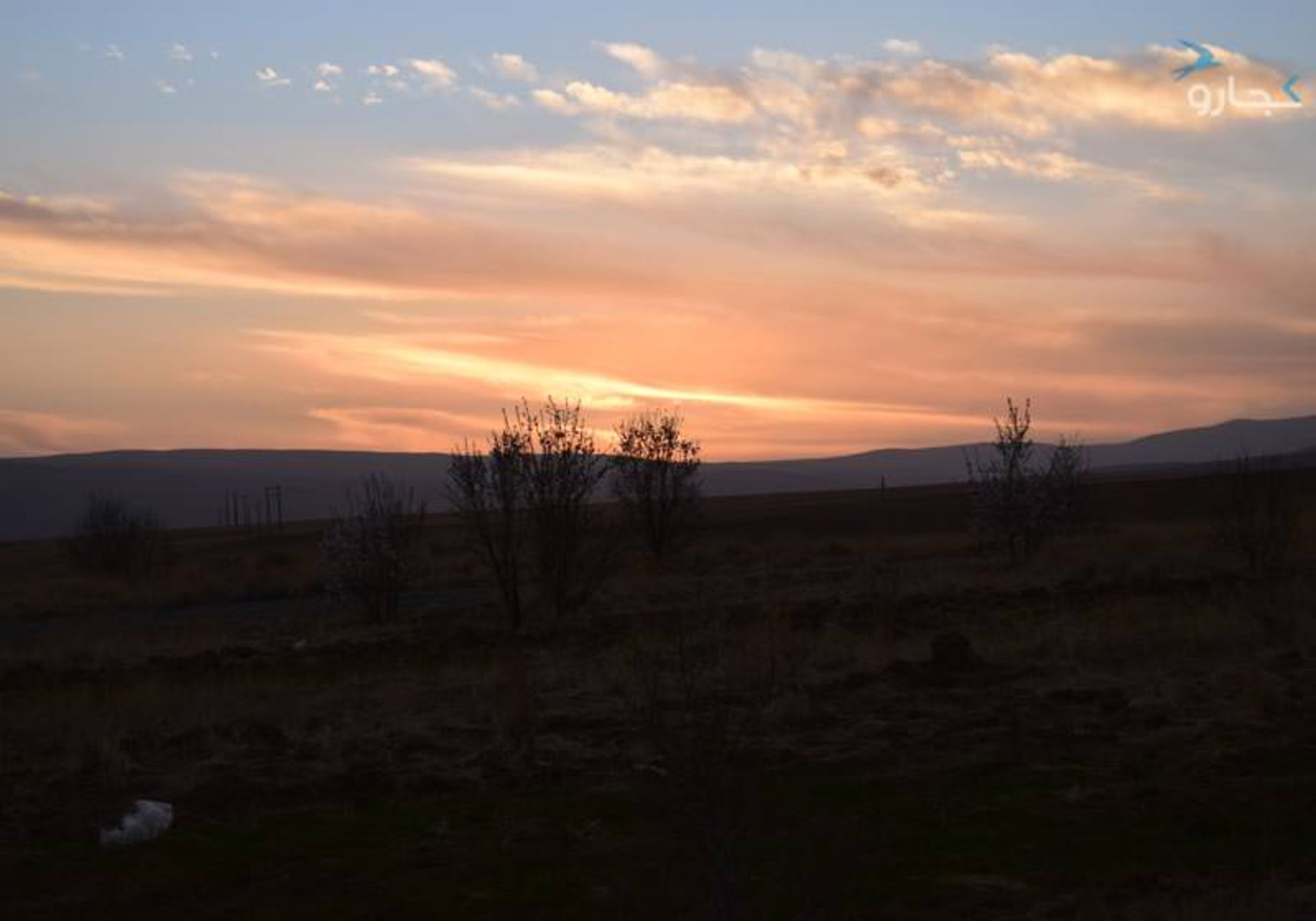 سفر جاده ای