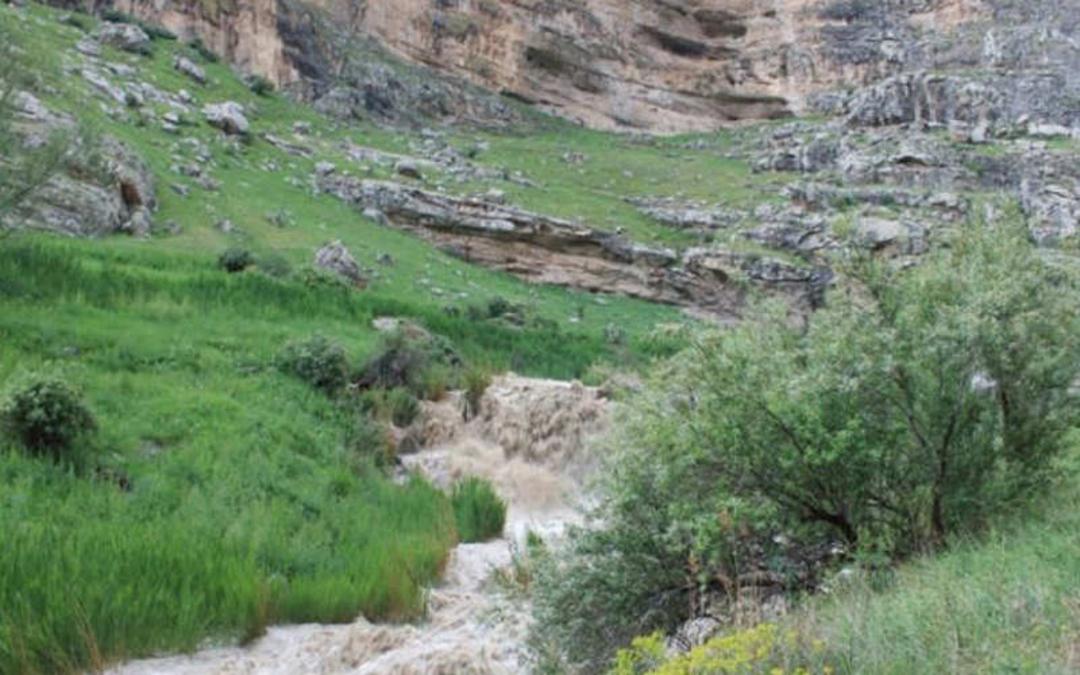 روستای گردشگری رند
