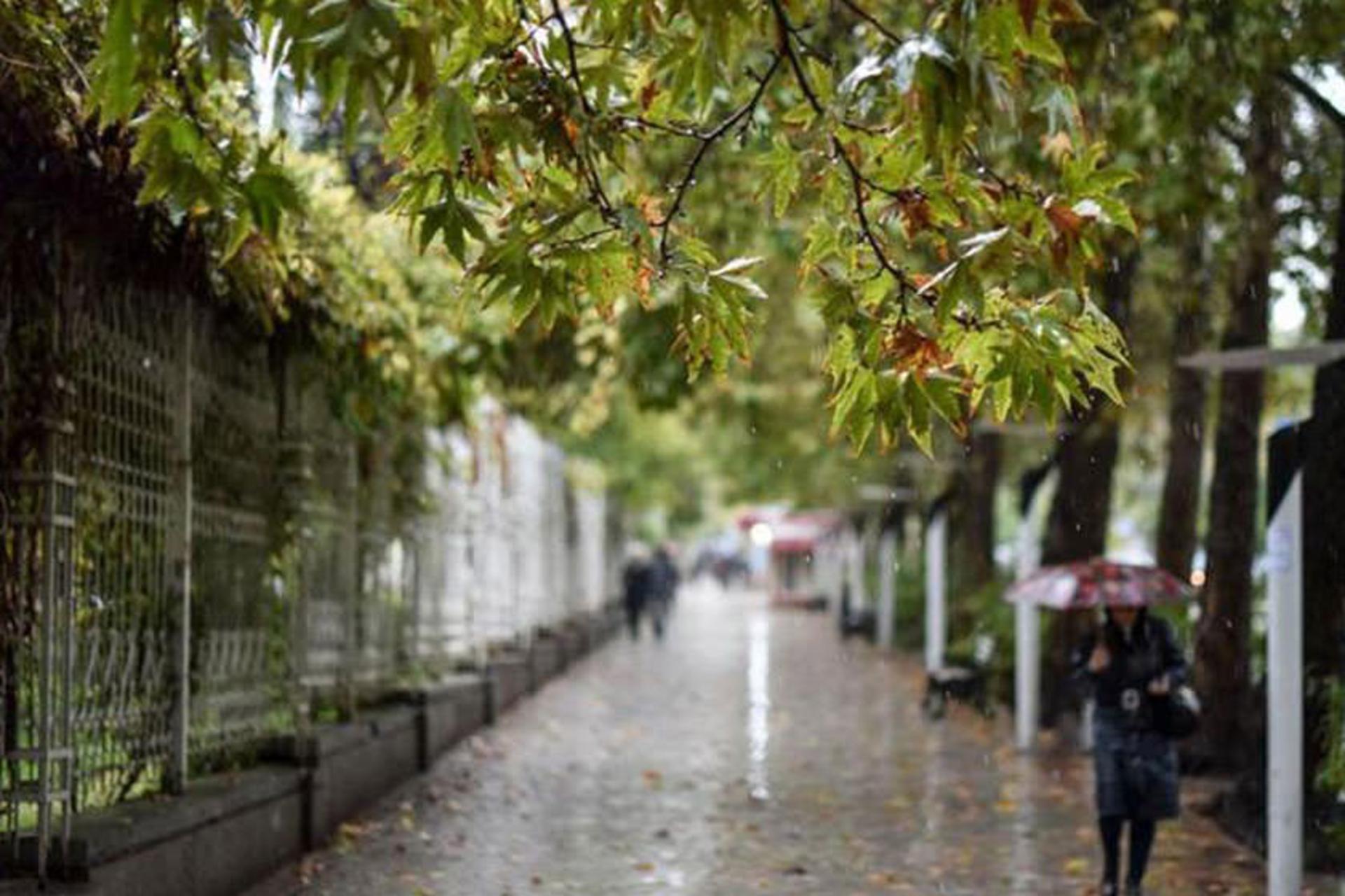 سامانه بارشی